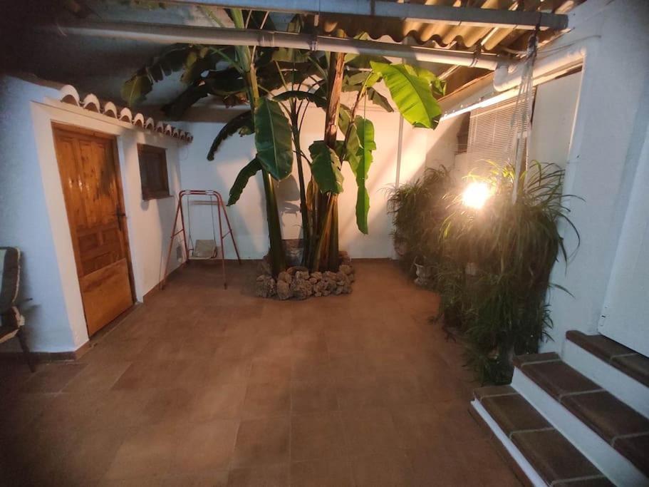 Encantadora Casa De Pueblo 萨贡托 外观 照片